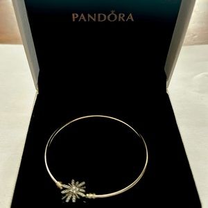 Small Pandora “The Best Is Yet To Come” firework